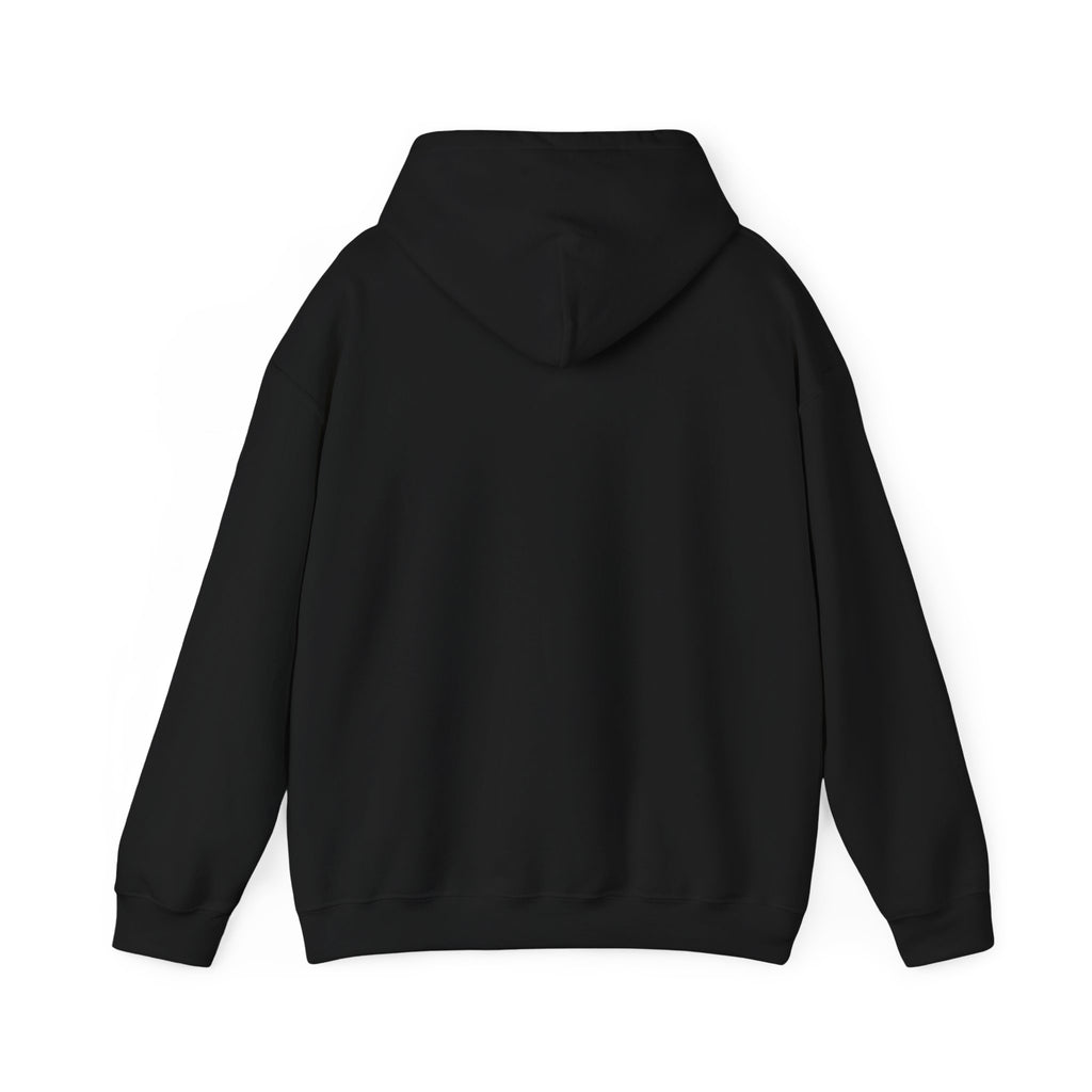 Twins Birds Contrast Hoodie – Monochrome Bird Art Pullover