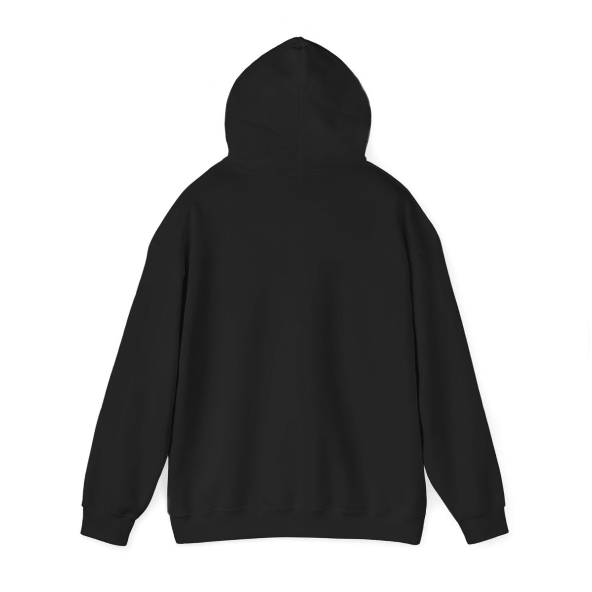 Twins Birds Contrast Hoodie – Monochrome Bird Art Pullover