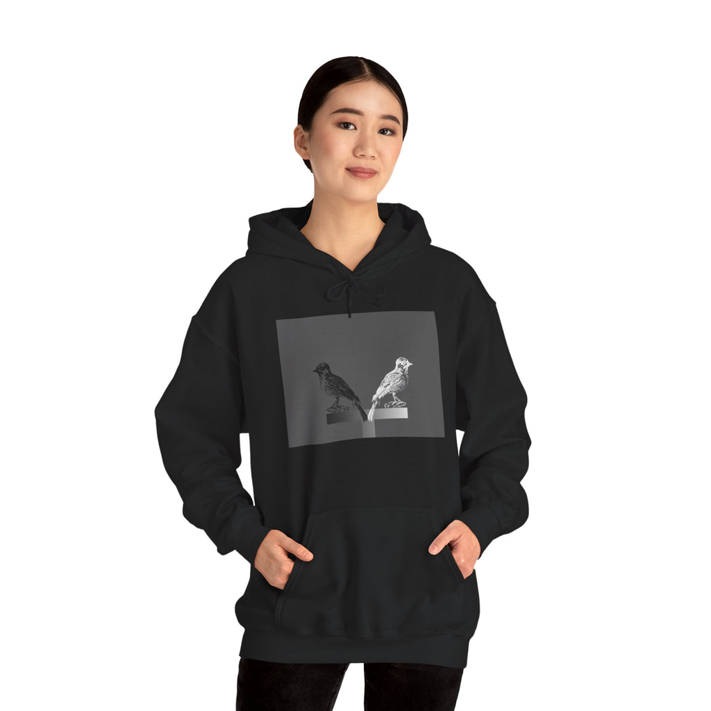 Twins Birds Contrast Hoodie – Monochrome Bird Art Pullover